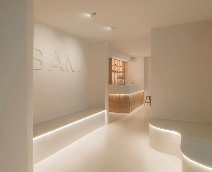 BAM Labs