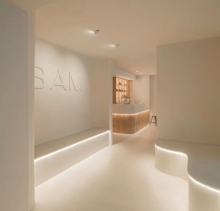 BAM Labs