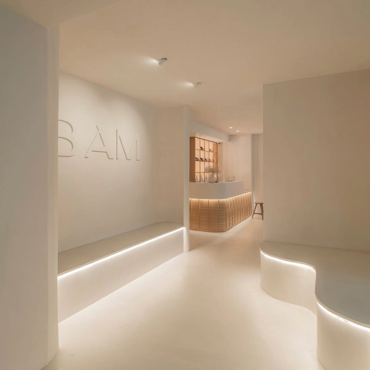 BAM Labs